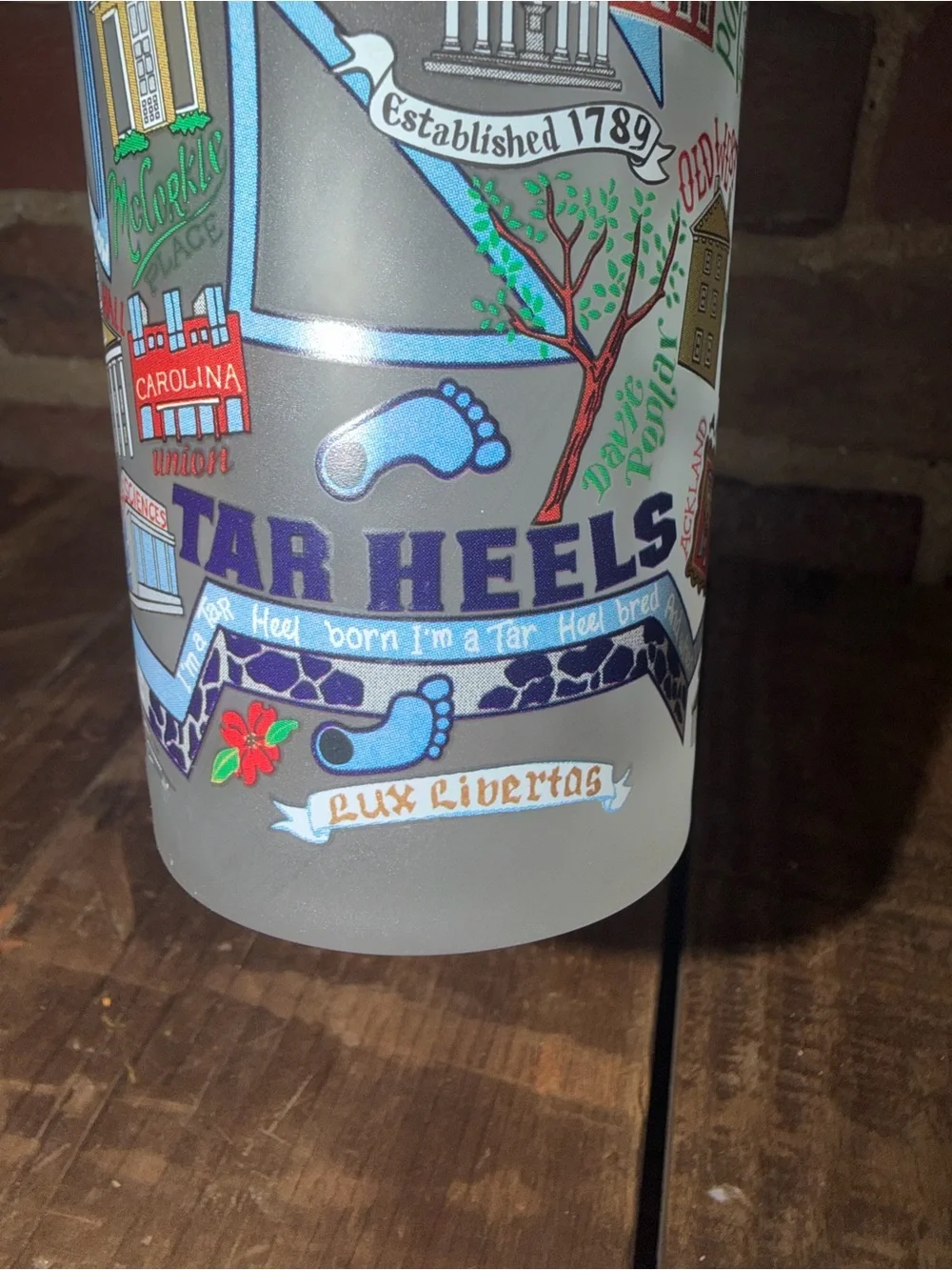 University of North Carolina Tar Heels 2 Frosted Glass Souvenir Academic Sports